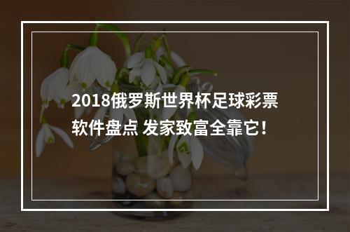 2018俄罗斯世界杯足球彩票软件盘点 发家致富全靠它！