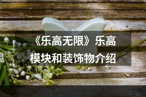 《乐高无限》乐高模块和装饰物介绍