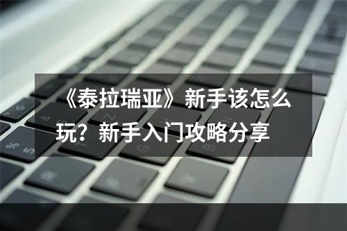 《泰拉瑞亚》新手该怎么玩？新手入门攻略分享