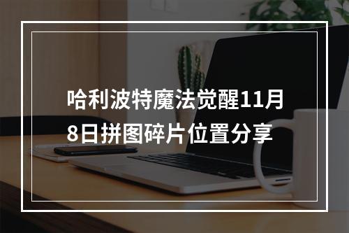 哈利波特魔法觉醒11月8日拼图碎片位置分享