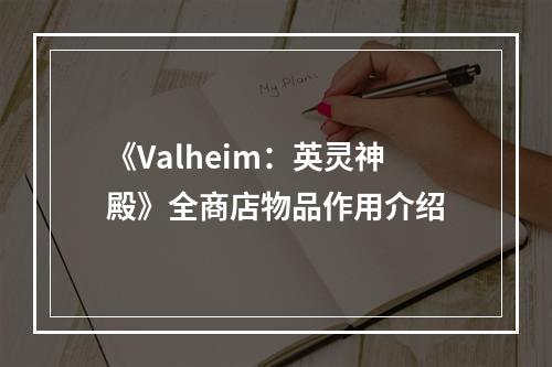 《Valheim：英灵神殿》全商店物品作用介绍