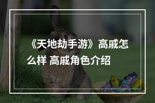 《天地劫手游》高戚怎么样 高戚角色介绍