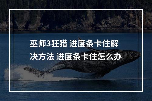 巫师3狂猎 进度条卡住解决方法 进度条卡住怎么办