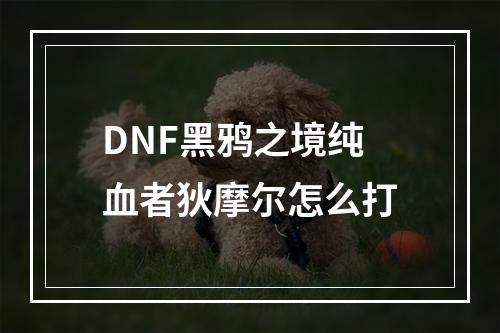 DNF黑鸦之境纯血者狄摩尔怎么打