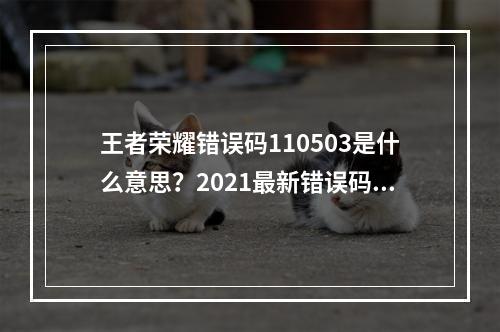 王者荣耀错误码110503是什么意思？2021最新错误码解决办法[多图]