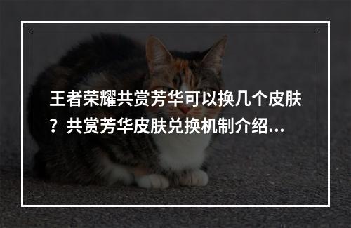 王者荣耀共赏芳华可以换几个皮肤？共赏芳华皮肤兑换机制介绍[多图]