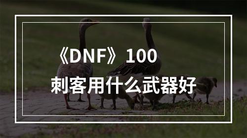 《DNF》100刺客用什么武器好