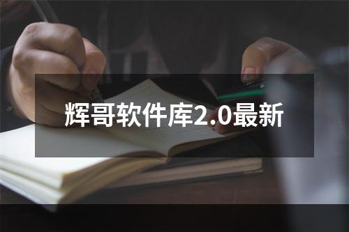 辉哥软件库2.0最新