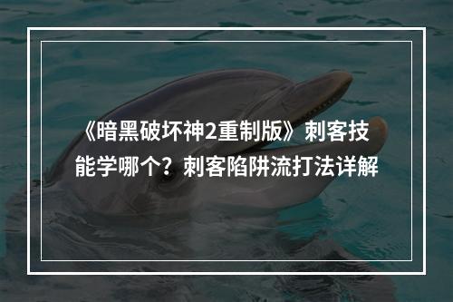 《暗黑破坏神2重制版》刺客技能学哪个？刺客陷阱流打法详解