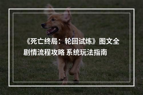 《死亡终局：轮回试炼》图文全剧情流程攻略 系统玩法指南