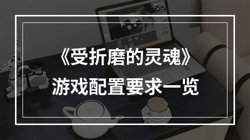 《受折磨的灵魂》游戏配置要求一览