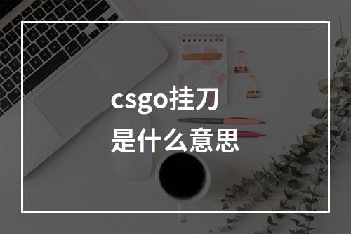 csgo挂刀是什么意思