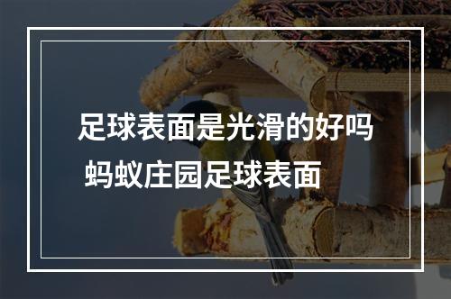 足球表面是光滑的好吗 蚂蚁庄园足球表面