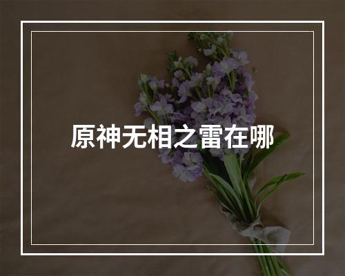 原神无相之雷在哪