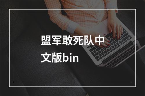 盟军敢死队中文版bin