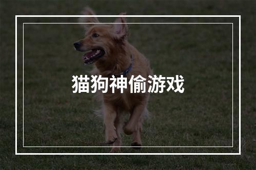 猫狗神偷游戏