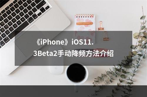 《iPhone》iOS11.3Beta2手动降频方法介绍