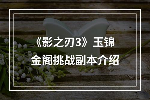 《影之刃3》玉锦金阁挑战副本介绍