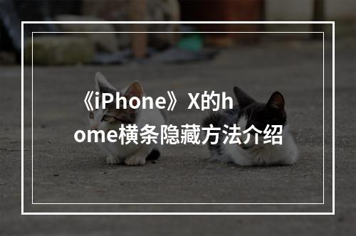 《iPhone》X的home横条隐藏方法介绍