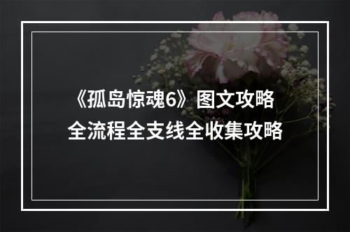 《孤岛惊魂6》图文攻略 全流程全支线全收集攻略