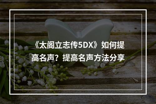 《太阁立志传5DX》如何提高名声？提高名声方法分享