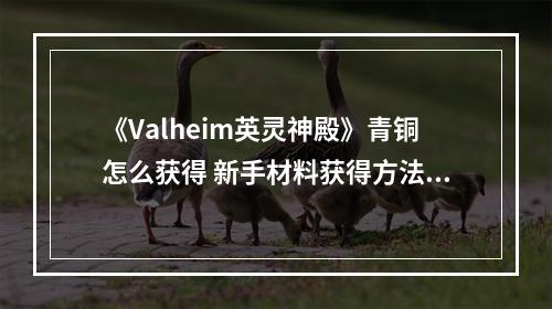 《Valheim英灵神殿》青铜怎么获得 新手材料获得方法汇总