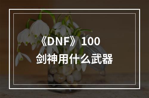 《DNF》100剑神用什么武器