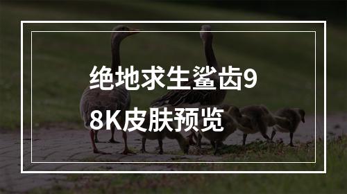 绝地求生鲨齿98K皮肤预览