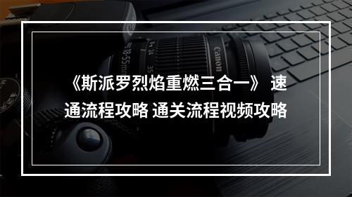 《斯派罗烈焰重燃三合一》 速通流程攻略 通关流程视频攻略