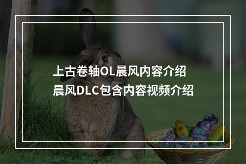 上古卷轴OL晨风内容介绍 晨风DLC包含内容视频介绍