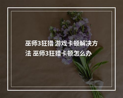 巫师3狂猎 游戏卡顿解决方法 巫师3狂猎卡顿怎么办