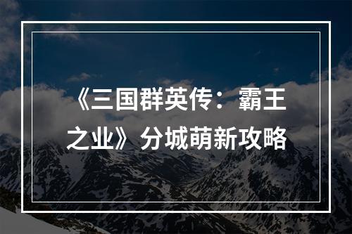 《三国群英传：霸王之业》分城萌新攻略