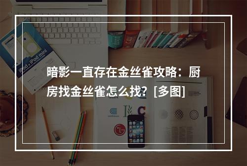 暗影一直存在金丝雀攻略：厨房找金丝雀怎么找？[多图]