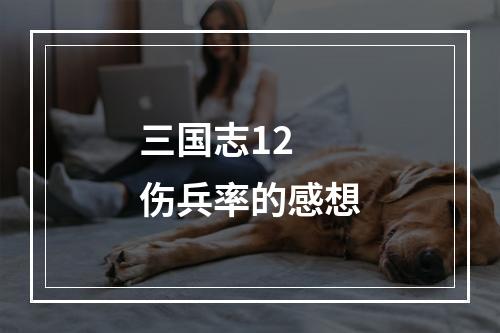 三国志12 伤兵率的感想