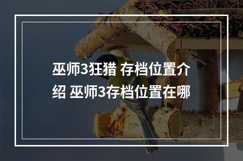 巫师3狂猎 存档位置介绍 巫师3存档位置在哪