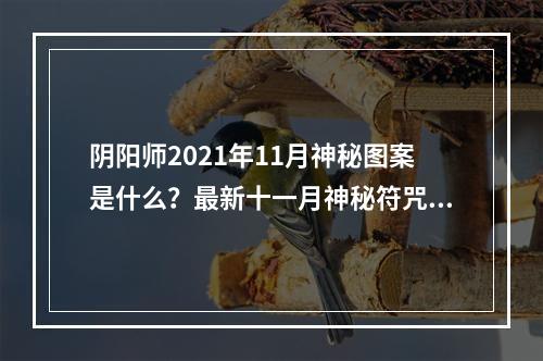 阴阳师2021年11月神秘图案是什么？最新十一月神秘符咒图案分享[多图]