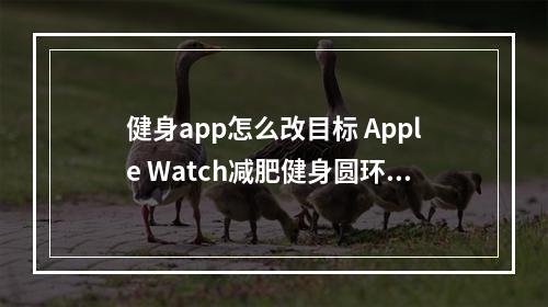 健身app怎么改目标 Apple Watch减肥健身圆环重新设置方法[多图]