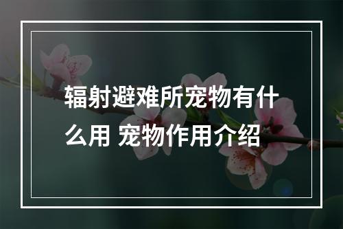 辐射避难所宠物有什么用 宠物作用介绍