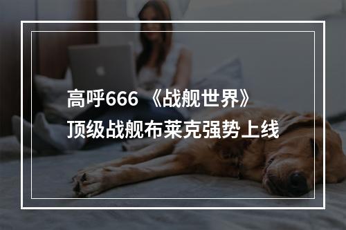 高呼666 《战舰世界》顶级战舰布莱克强势上线