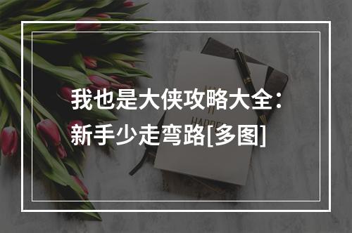 我也是大侠攻略大全：新手少走弯路[多图]