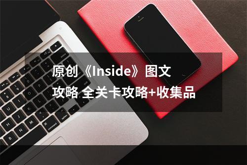 原创《Inside》图文攻略 全关卡攻略+收集品