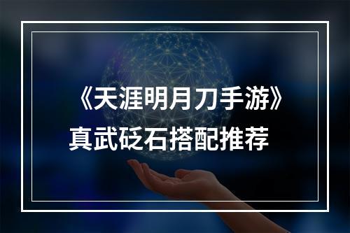 《天涯明月刀手游》真武砭石搭配推荐