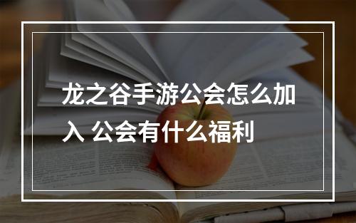 龙之谷手游公会怎么加入 公会有什么福利