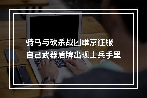 骑马与砍杀战团维京征服 自己武器盾牌出现士兵手里