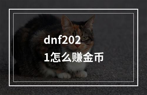 dnf2021怎么赚金币