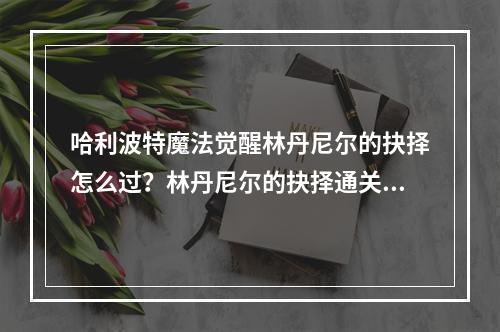 哈利波特魔法觉醒林丹尼尔的抉择怎么过？林丹尼尔的抉择通关攻略[多图]