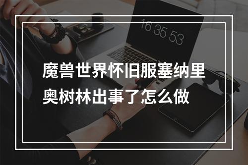 魔兽世界怀旧服塞纳里奥树林出事了怎么做