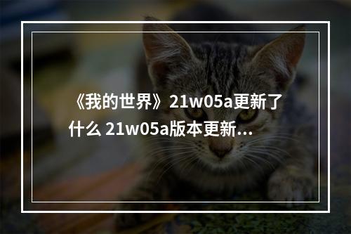 《我的世界》21w05a更新了什么 21w05a版本更新内容介绍