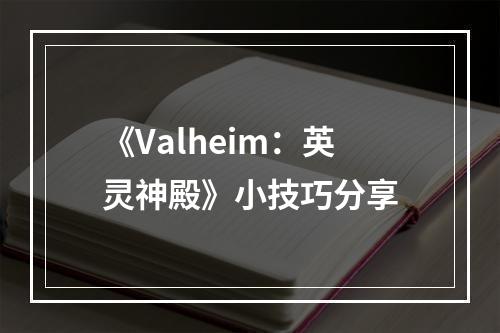 《Valheim：英灵神殿》小技巧分享