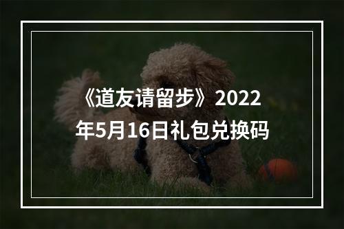 《道友请留步》2022年5月16日礼包兑换码